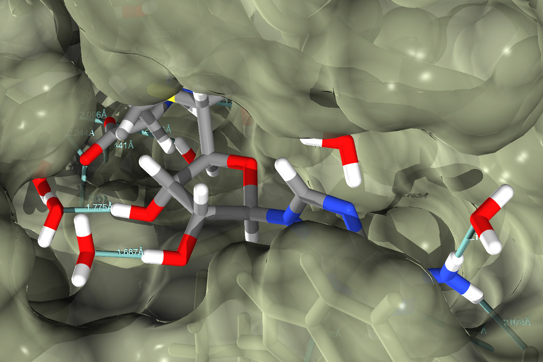 Dnmt1 protein with SAH ligand docked in the active site
